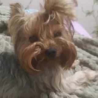 😐