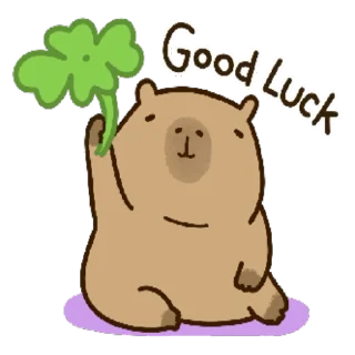 🍀
