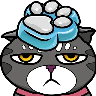 😾