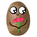 🌹
