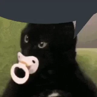 🐈‍⬛