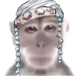 🐵