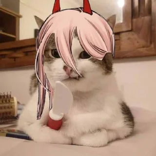 😼