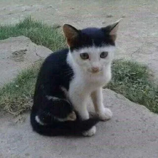 👨