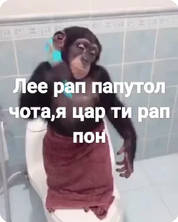 🌟