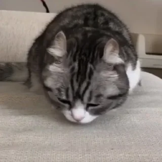🥰