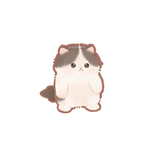 🌟