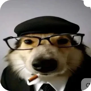 🎩