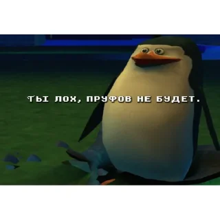 👩‍🦽