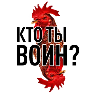 @logobasis