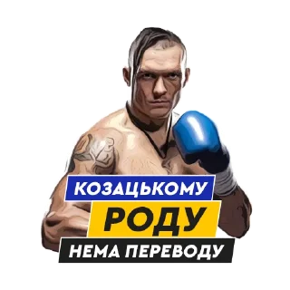 🥊
