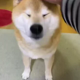 🤗
