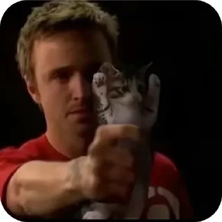 ✋
