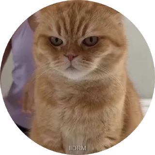 😠