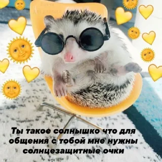 🌞