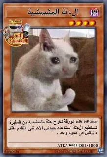 😂