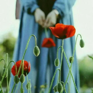 🌹