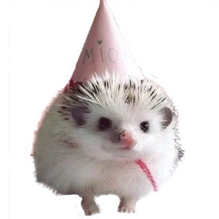 🥳
