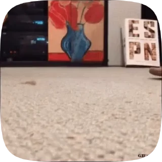 😳