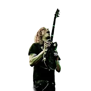 🎸