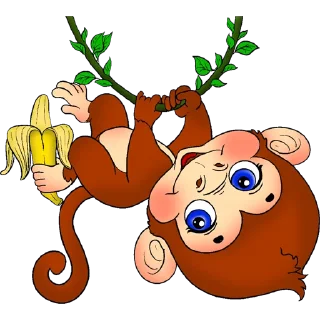 🐒