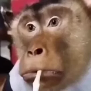 😏