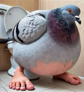 🤩