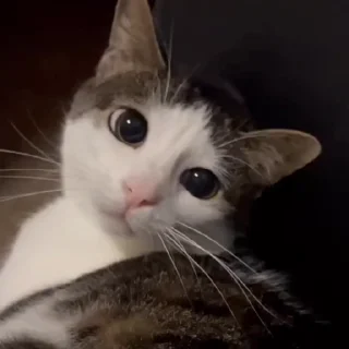 🙃