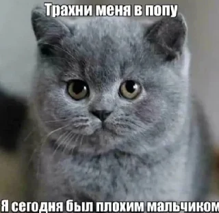 ☺️
