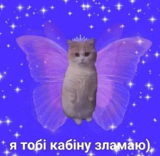 🦋