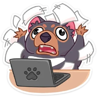 💻