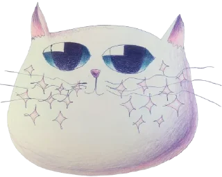 ✨