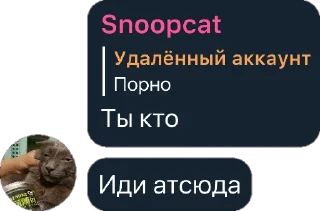 🤩