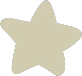 🌟