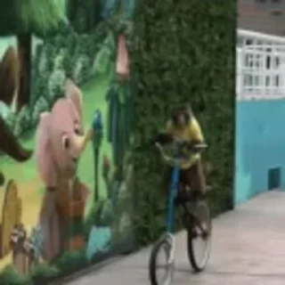 🚴‍♂️