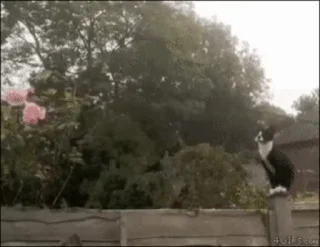 😳
