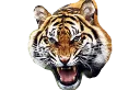 🐯
