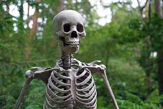 💀