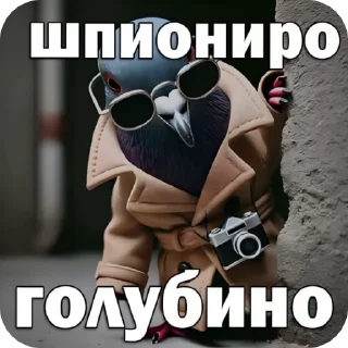 🕊