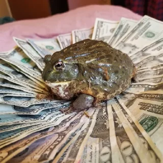 💵