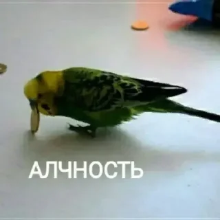 🪙