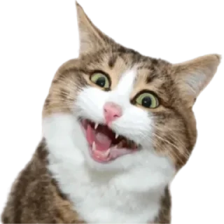 😃