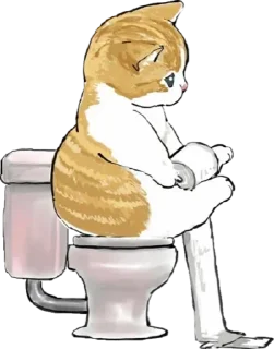 🚽