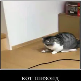 🤯