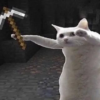 🐈