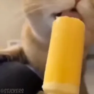 🍦