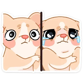 😭