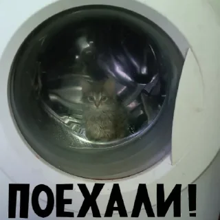 😺