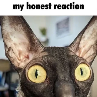 😧