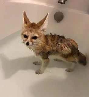🛁